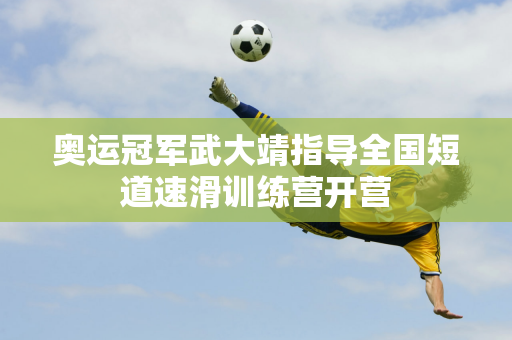 法与老鹰抗